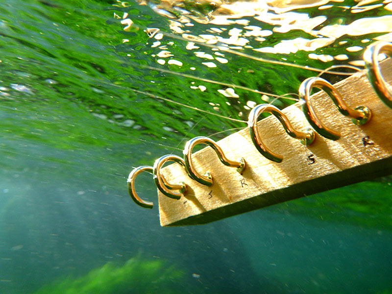 800.Tippet.P1020856
