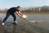 Порибување на Вардар и Лепенец со бела риба, март 2019