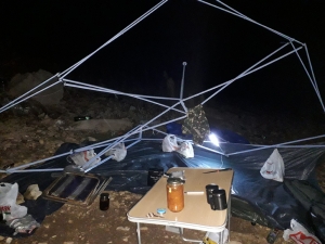 Однесени од виорот