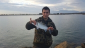 Морски будалаштини